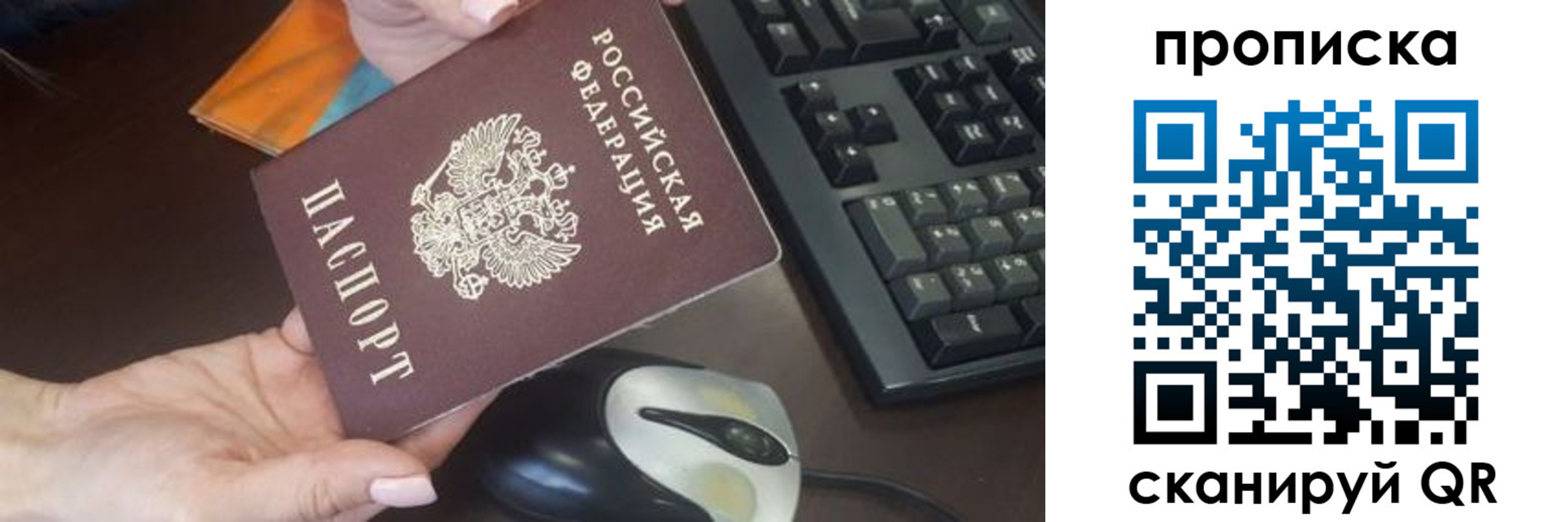 прописка гарантия в Шебекино